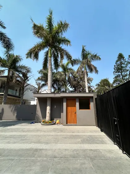 At the entrance of Gulmohar Farmhouse, another existing palm tree stands in a planter bed integrated into the paved driveway. Instead of removing it, we made it a central feature of the arrival experience.