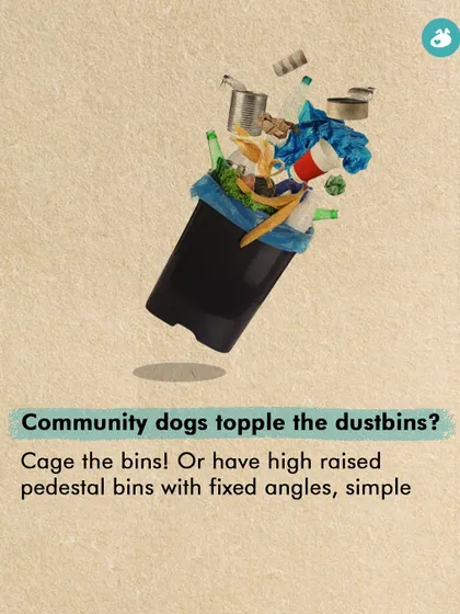 Do community dogs topple dustbins in your area? This simple, practical tip suggests solutions like caging the bins or using high-raised pedestal bins to prevent scavenging and keep common areas clean.