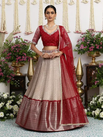 The full, standing view showcases the beautiful fall of the pleated silk skirt and the rich maroon color of the blouse and border.