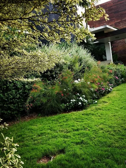 A look at a mature residential garden I designed, filled with layers of greenery. The mix of shrubs, flowering plants, and a healthy lawn creates a private, peaceful retreat for the homeowners.