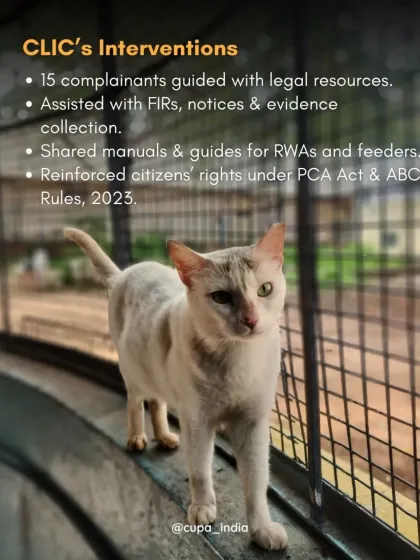 My legal interventions include guiding complainants, assisting with FIRs and legal notices, and sharing resources to empower citizens under the PCA Act and ABC Rules.