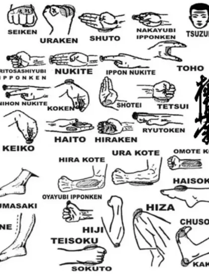 A comprehensive chart of various hand strikes, blocks, and foot techniques used in karate. This shows the depth of the art we teach at our academy.