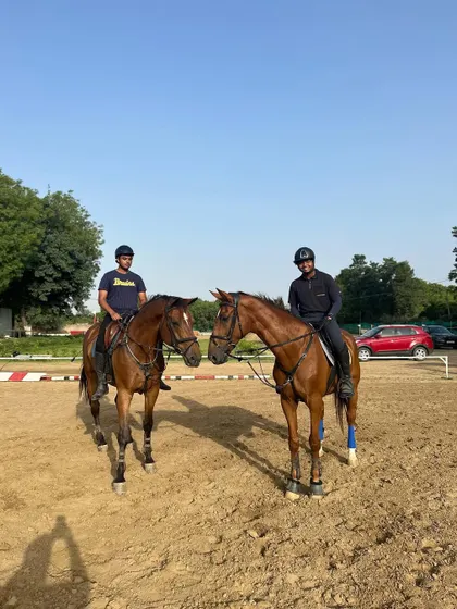 Two of our beloved horses, Verdinand and Haminka, sharing a friendly moment. The well-being and happiness of our horses are paramount.