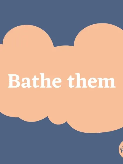 If your dog is comfortable with it, a rainy day can be a good time for a bath, followed by a cozy towel dry.