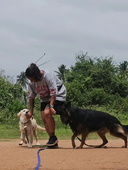 A playful but controlled interaction between Ari and Duggu. Socialization includes learning how to play appropriately, and I am here to supervise and guide the dogs.