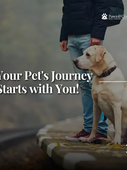 Your pet's journey starts with you. By planning ahead and working with our expert team, you can make their relocation a positive and stress-free experience.