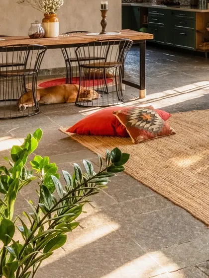 The dining area features a large wooden table and cool Kota stone flooring, which is perfect for keeping furry friends comfortable. The space is designed for relaxed, communal living.