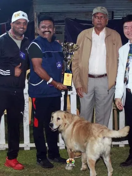 Celebrating a big win for this Golden Retriever at the dog show.