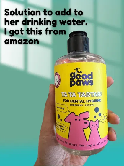In addition to brushing, I use a water additive like this 'Ta Ta Tartar' solution to help freshen her breath and maintain oral hygiene.