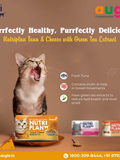 This Nutriplan Tuna & Cheese is a purrfectly delicious and healthy meal. It contains fresh tuna, inulin for smooth digestion, and green tea extract to reduce bad breath and stool odor.