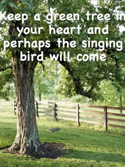 "Keep a green tree in your heart and perhaps the singing bird will come." An old proverb that speaks to creating a welcoming inner environment for joy and hope to arrive.