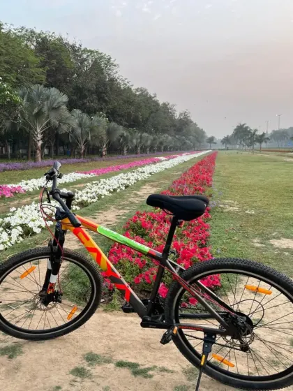 A beautiful shot of a bike against a backdrop of colorful flowers. Our easy morning rides often take us through the most scenic parts of the city.