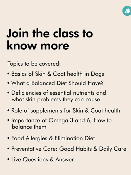 In our 'Solving Skin Issues with Diet' class, we cover everything from the basics of skin health to the role of Omega-3 and 6, food allergies, and elimination diets. This slide lists the key topics you'll learn.