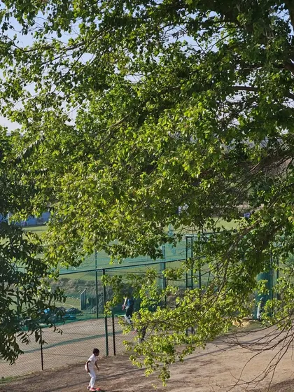 The lush greenery surrounding our club provides a calm and focused atmosphere, away from the city's distractions. It's an ideal environment for a cricketer to grow.