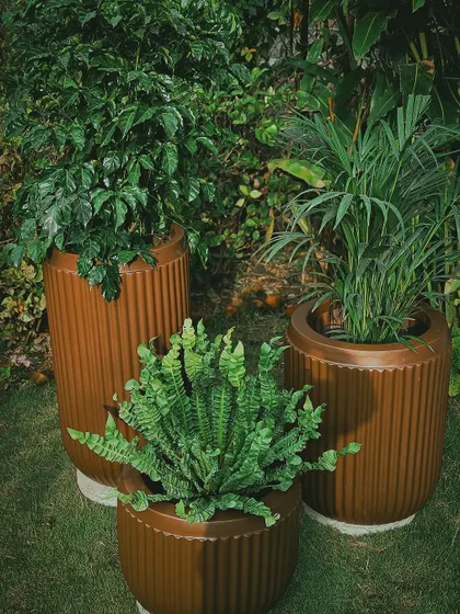 The rich, earthy tone of these ribbed brown planters adds warmth and texture to a garden space. They provide a beautiful contrast for the vibrant green foliage of ferns and palms.