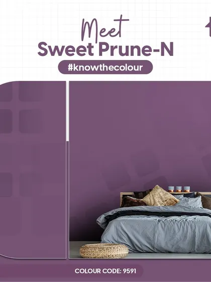 My "Better Half" and "Know the Colour" series explore unique color pairings and deep dives into specific shades. Let these ideas inspire you to create a truly unique and harmonious color story in your home.