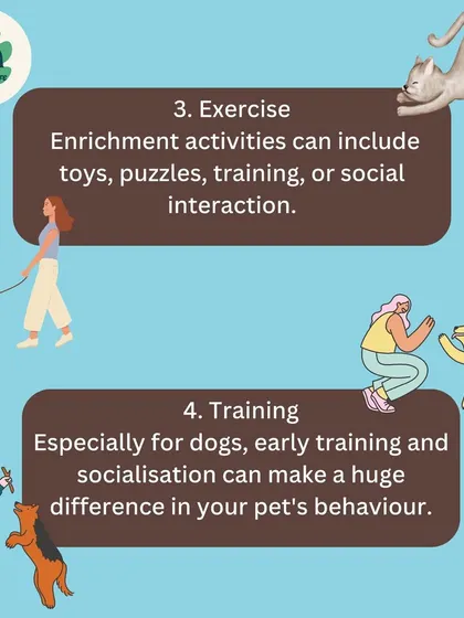 Enrichment activities like exercise, puzzle toys, and training are vital for your pet's mental and physical health. Early socialization makes a huge difference in behavior.