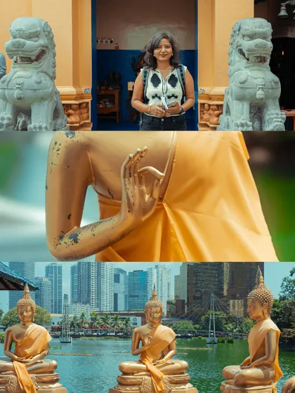 A collection of images from the serene temples of Colombo, including the golden Buddha statues and the intricate stone lions that guard the entrances.