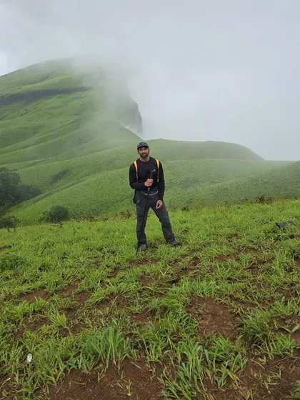 Standing on the green carpet of the mountainside.