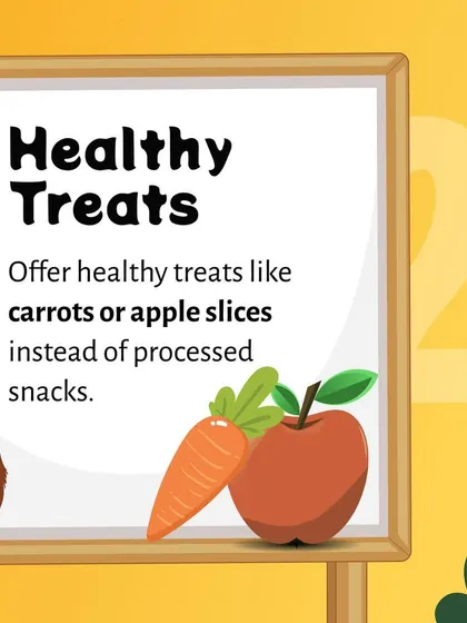 Nutrition plays a vital role in your pet's overall health. We recommend offering natural, healthy treats like carrot or apple slices instead of processed snacks to support their well-being.