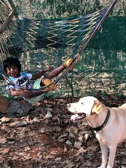 A beautiful moment with Comet and his little human. We love being a place where the whole family, furry or not, feels welcome.