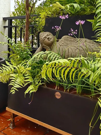 A perfect example of creating a serene balcony retreat. This client has beautifully placed our reclining Buddha statue amidst lush ferns in a modern planter, proving that tranquility can be found in any space.