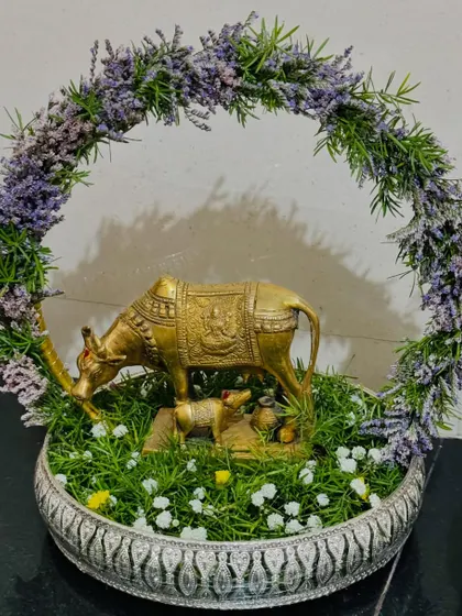 For housewarming ceremonies, I create auspicious arrangements like this one. It features a brass statue of Kamadhenu, the sacred cow, and her calf, set in a bed of artificial grass and surrounded by a lavender wreath.
