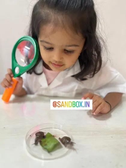 With her magnifying glass in hand, this young scientist is ready to explore the world of snails. These activities foster a love for nature and the scientific method of observation.
