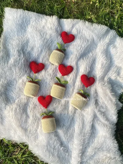 Another view of the red heart pots, laid out on a fluffy blanket in the sun. Each one is a little token of affection.