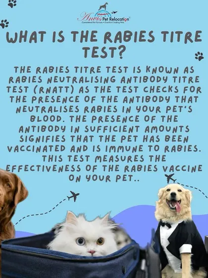 The Rabies Titer Test (RNATT) is a blood test that measures the effectiveness of your pet's rabies vaccine. It checks for a sufficient level of antibodies, proving immunity, and is required by many countries to prevent the spread of rabies.
