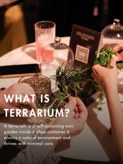 What is a terrarium? It's a self-sustaining mini garden in a glass container. This image from a workshop shows two people collaborating on their creation, learning how these ecosystems mimic a natural environment with minimal care.