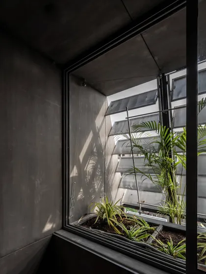 An interior view of the integrated planter and adjustable louver system at the AEEE office. This fixture brings nature inside while allowing occupants to control the amount of natural light and shadow, creating a healthier and more responsive workspace.