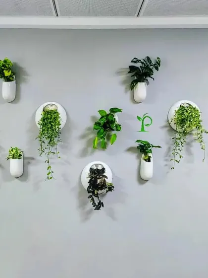 A collection of modern ceramic wall planters adds a touch of green artistry to this office wall. I used a mix of trailing and compact plants to create a visually interesting and low-maintenance display.