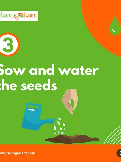 After selecting your seeds, the next step is to sow and water them. This simple graphic reminds you of the basic actions needed to start your gardening journey.