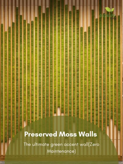 For the ultimate in effortless elegance, we recommend preserved moss walls. This installation uses real, preserved moss arranged between wooden slats, offering a sophisticated, zero-maintenance green accent.