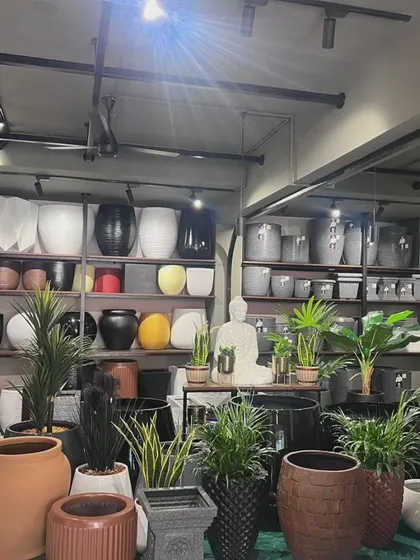 A wide shot of our store's interior, showcasing the sheer variety of planters we have on display. The shelves are stocked with pots of all shapes, sizes, and colors, ready for you to explore.