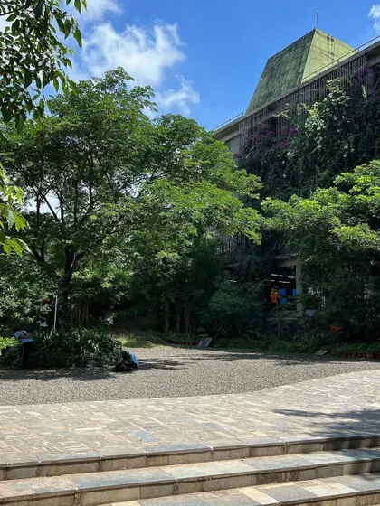The central courtyard at Avasara, with mature trees providing shade. This space serves as the heart of the campus, a place for students to gather and relax surrounded by nature.