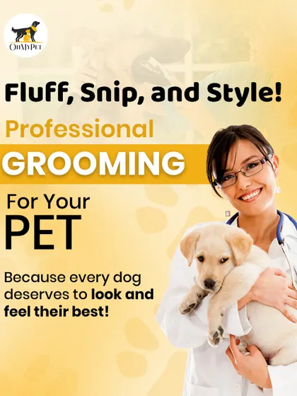 Fluff, snip, and style. I provide professional grooming because every pet deserves to look and feel their absolute best. A good groom is a huge confidence booster for them.