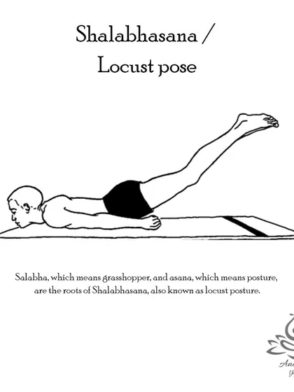 Shalabhasana (Locust Pose) strengthens the muscles of the spine, buttocks, and backs of the arms and legs. It improves posture and aids in weight loss.