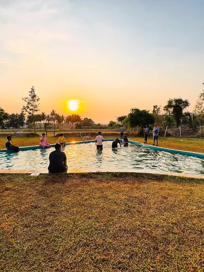 Golden hour at the camp is pure magic. This is the view from our pool area, where dogs and their parents can enjoy a swim while watching a beautiful Bengaluru sunset.