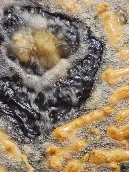 A behind-the-scenes look at our starters being freshly fried to golden perfection.