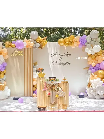 The full view of the outdoor twins' birthday party decor.