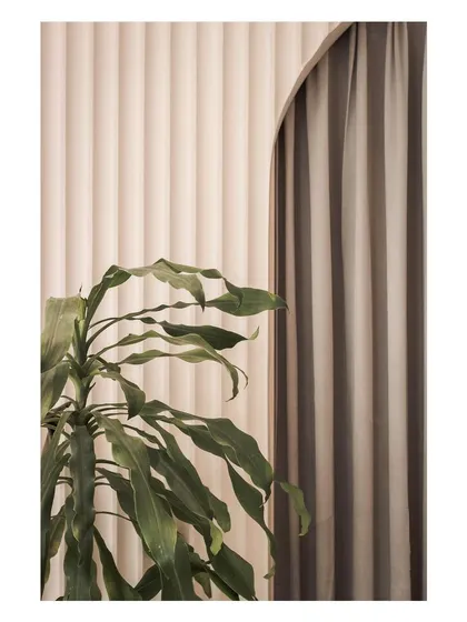 A close-up detail showing the texture of the fluted wall panels and the soft curve of the arched doorway, complemented by the organic form of a houseplant.