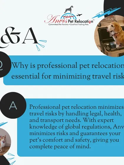 Why is a professional service essential? We minimize travel risks by expertly handling all legal, health, and transport needs. Our knowledge of global regulations guarantees your pet’s comfort and your complete peace of mind.