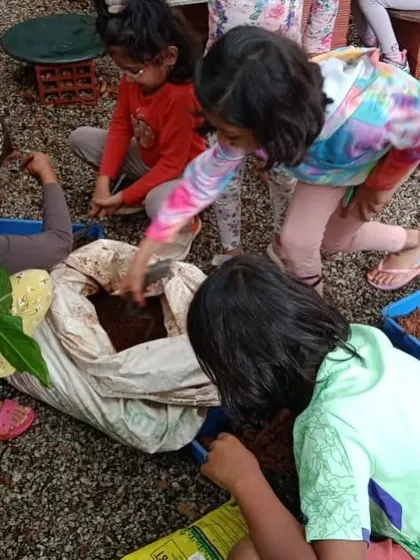 A collection of moments from our various hands-on science activities, showing children deeply engaged in learning through doing.