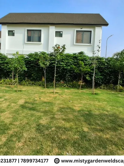 A completed villa landscaping project featuring a healthy green lawn, young trees, and a dense hedge for privacy, creating a serene and luxurious environment.