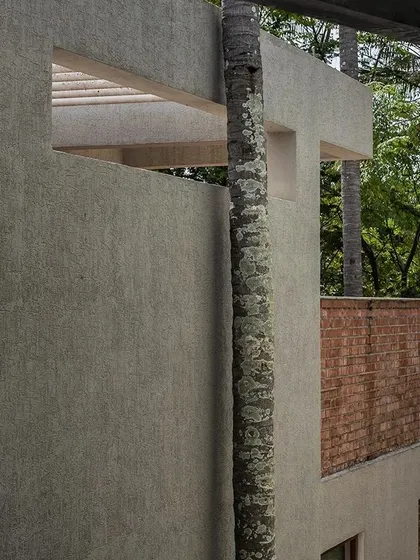 A detail at Anahaspa where a palm tree grows through an opening in the structure. We design around existing natural elements, allowing the building to coexist peacefully with the site.