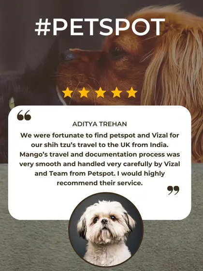 Aditya Trehan was grateful for the smooth and carefully handled documentation process for his Shih Tzu, Mango's, travel to the UK. I pride myself on meticulous paperwork.