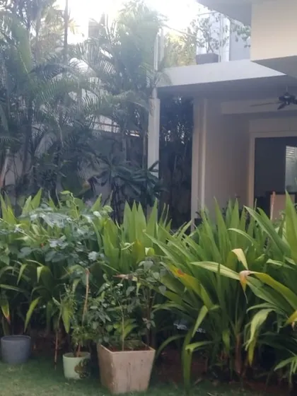 A well-maintained garden with a mix of potted plants and in-ground shrubs. My maintenance service ensures that plants are healthy and the garden looks lush and tidy.