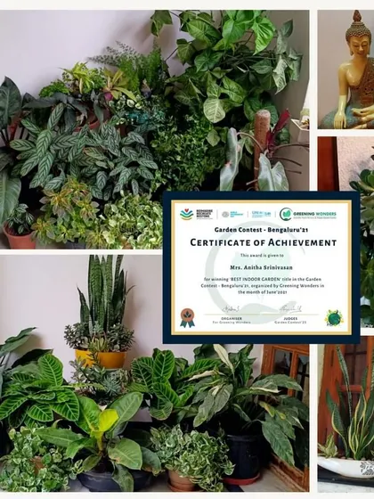 The winning 'Best Indoor Garden' from our contest. This collection demonstrates how to create a thriving indoor jungle with a variety of foliage plants like Monsteras and Snake Plants, using different pot styles and placements.